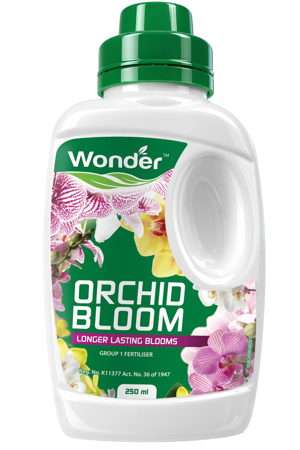 Wonder Orchid Bloom